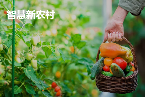 智慧新农村