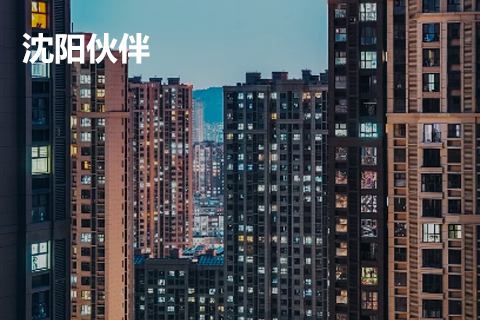 沈阳伙伴